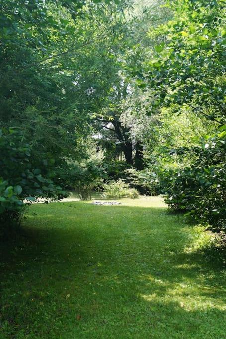 Idylisches Cottage Mit Reh Worthsee Zewnętrze zdjęcie