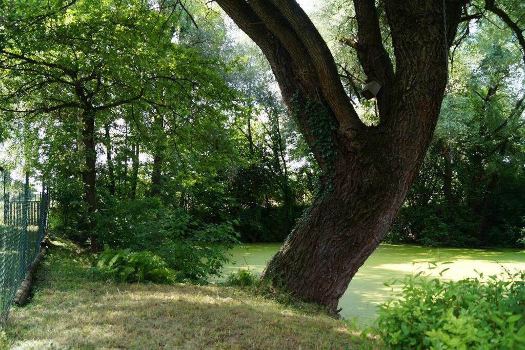 Idylisches Cottage Mit Reh Worthsee Zewnętrze zdjęcie