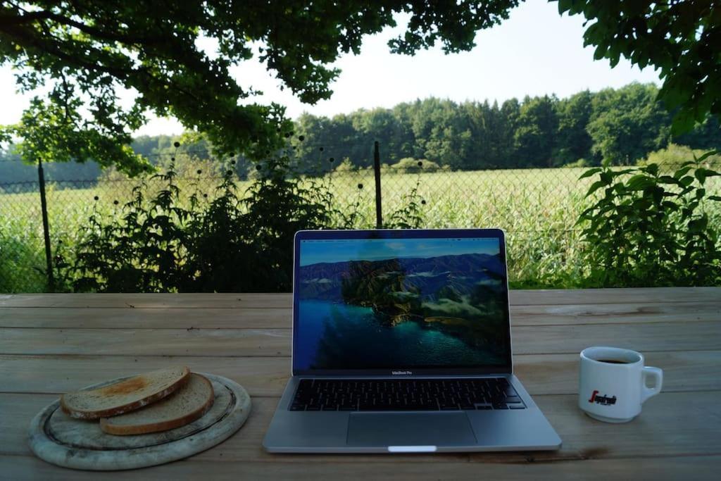 Idylisches Cottage Mit Reh Worthsee Zewnętrze zdjęcie