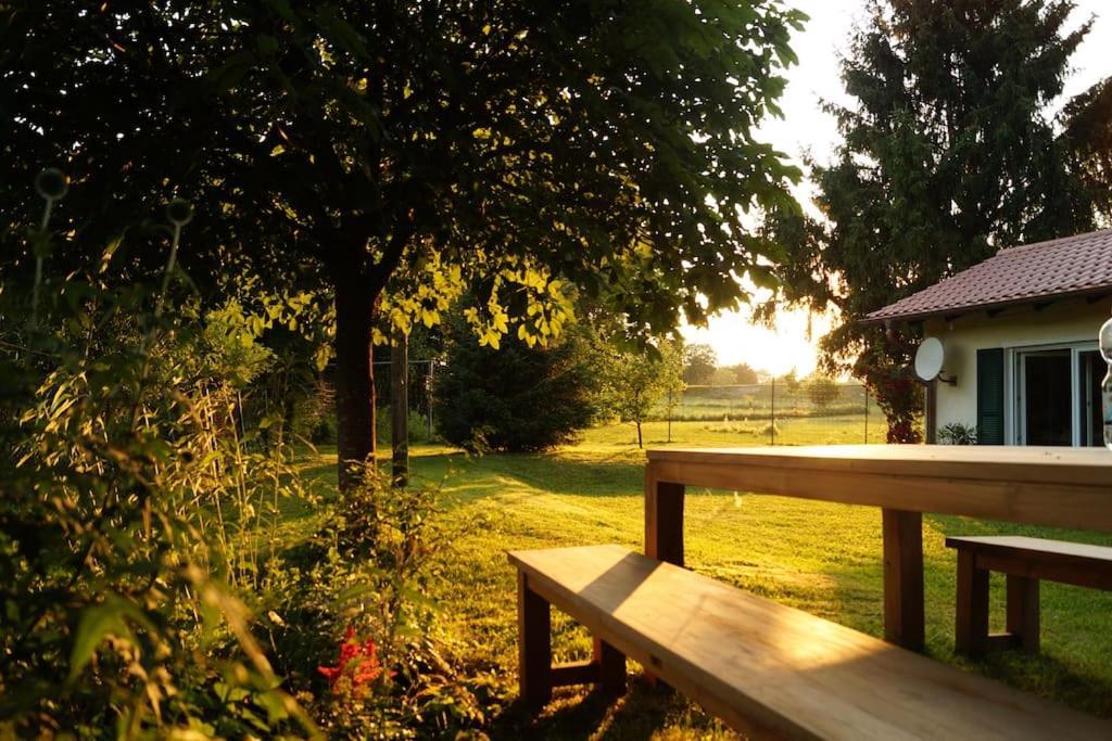 Idylisches Cottage Mit Reh Worthsee Zewnętrze zdjęcie