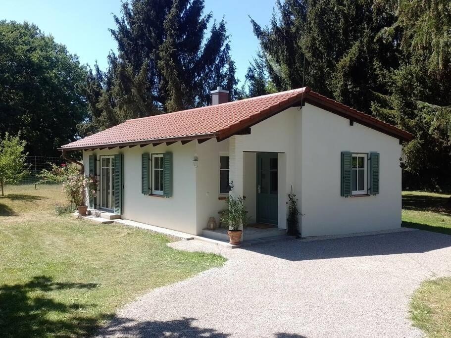 Idylisches Cottage Mit Reh Worthsee Zewnętrze zdjęcie