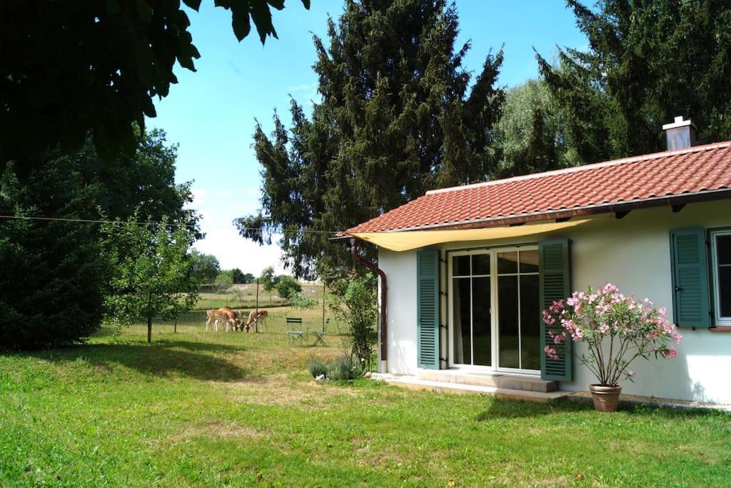 Idylisches Cottage Mit Reh Worthsee Zewnętrze zdjęcie