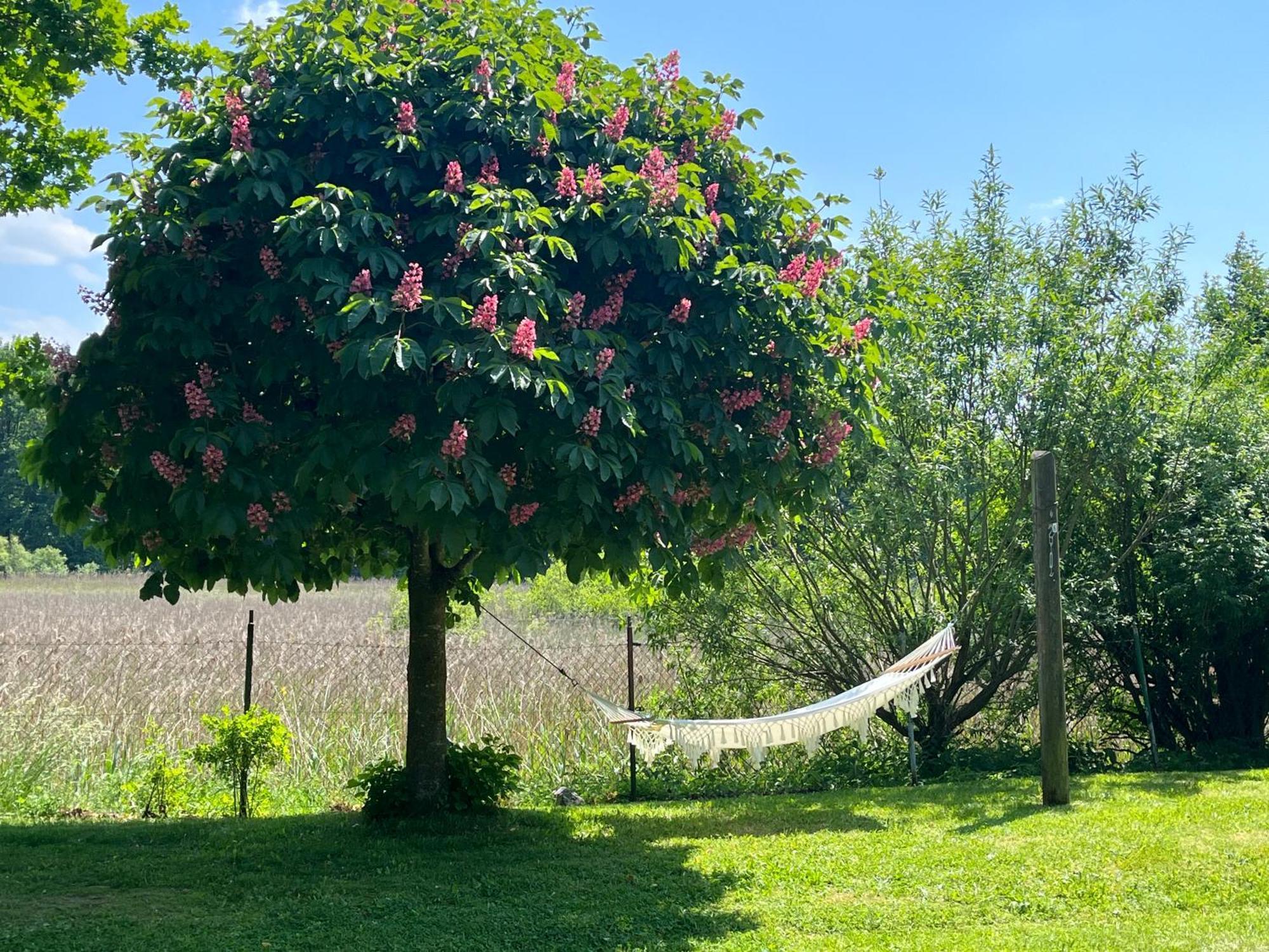 Idylisches Cottage Mit Reh Worthsee Zewnętrze zdjęcie